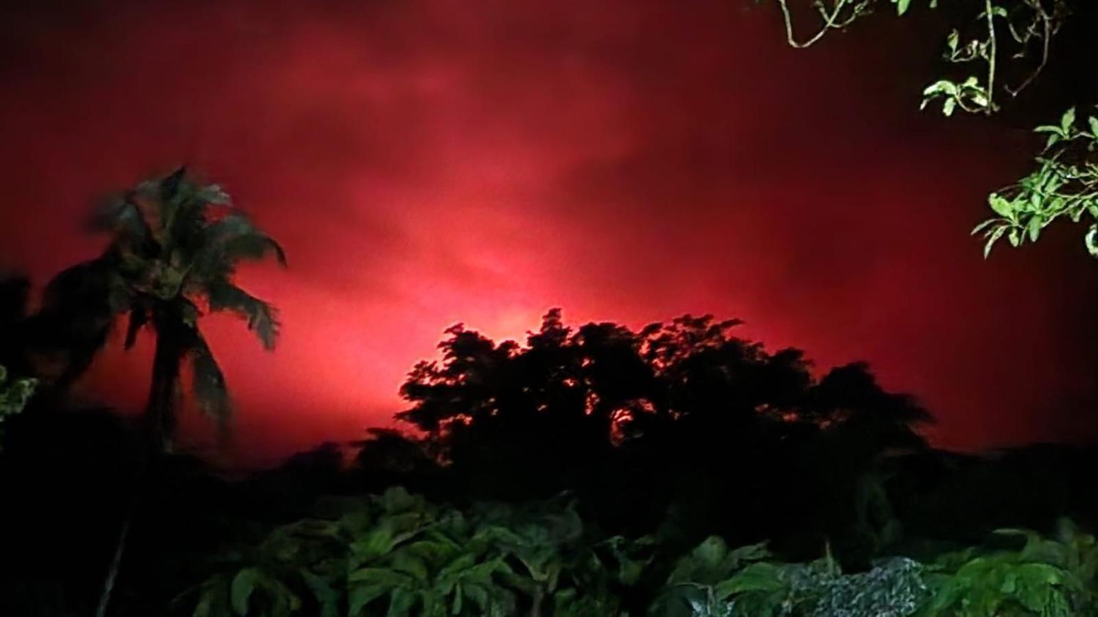 Tanna Volcano View Tree House Lenkuru Exterior foto